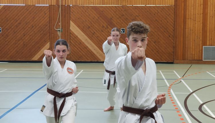 Karate Anfängerkurs für Jugendliche und Erwachsene