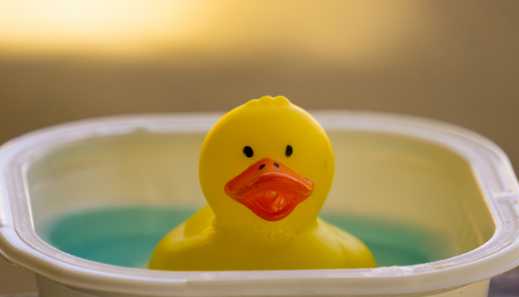 Wassergewöhnungskurs der Schwimmabteilung 