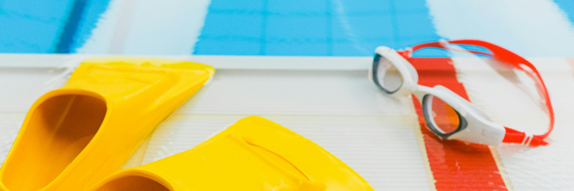 Technikkurs Kraulschwimmen für Erwachsene