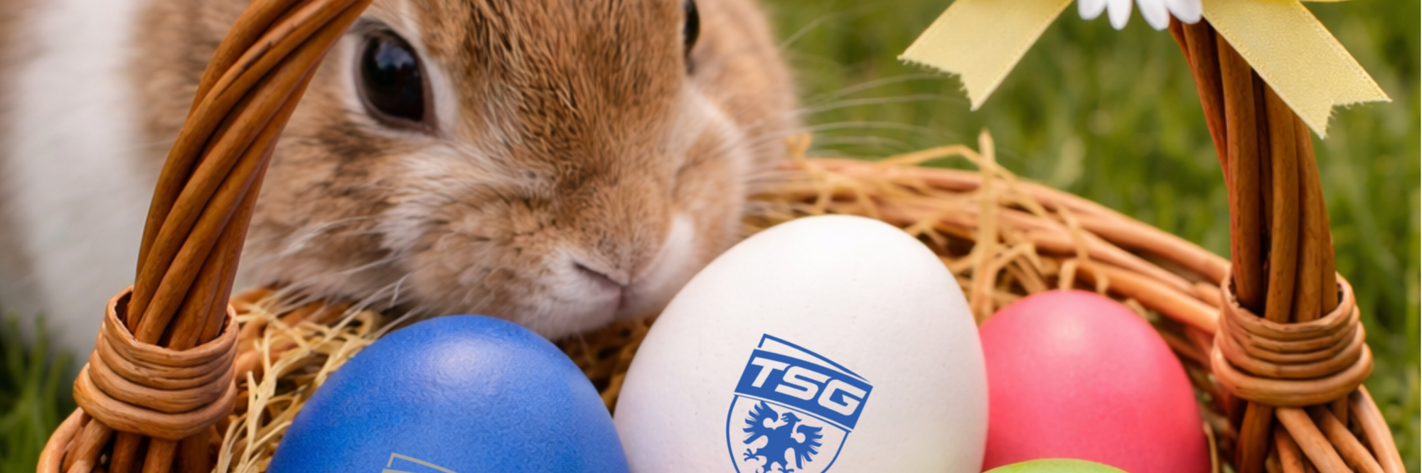 Osterkörble suchen für Kinder